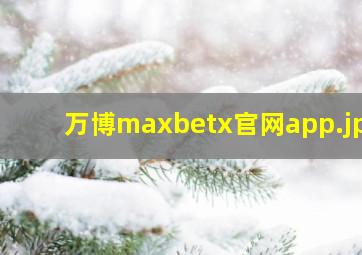 万博maxbetx官网app