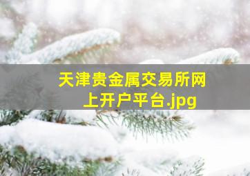天津贵金属交易所网上开户平台