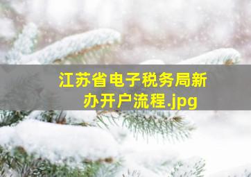 江苏省电子税务局新办开户流程