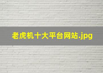 老虎机十大平台网站