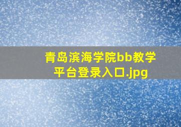 青岛滨海学院bb教学平台登录入口