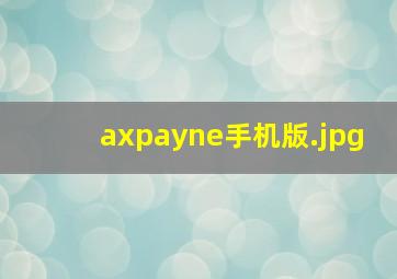 axpayne手机版
