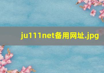 ju111net备用网址